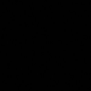 Meet your Posher, Ebonie